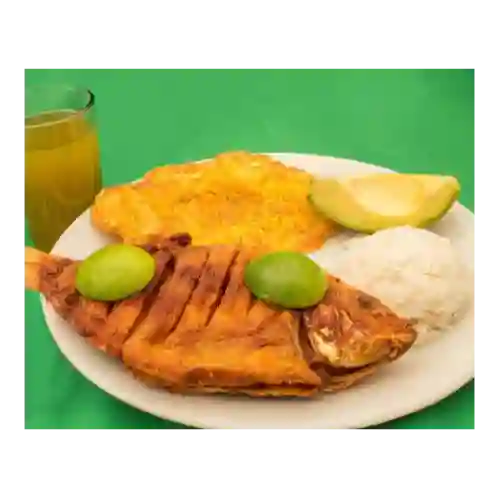 Tilapia Frita