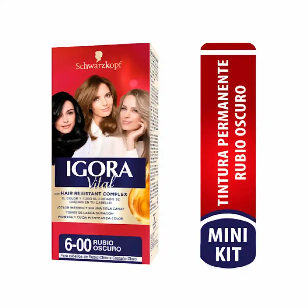 Igora Tinte Vital Mini Chocolate 6-68