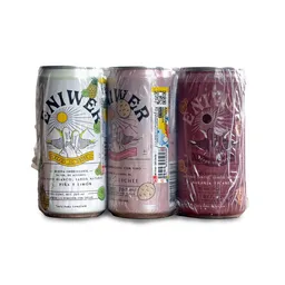 Sixpack Bebida Alcoholica Surtido Eniwer Ready To Drink