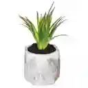 Planta Artificial Maceta Surtido 114760 F1