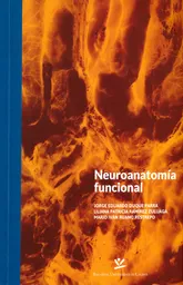 Neuroanatomía Funcional - VV.AA