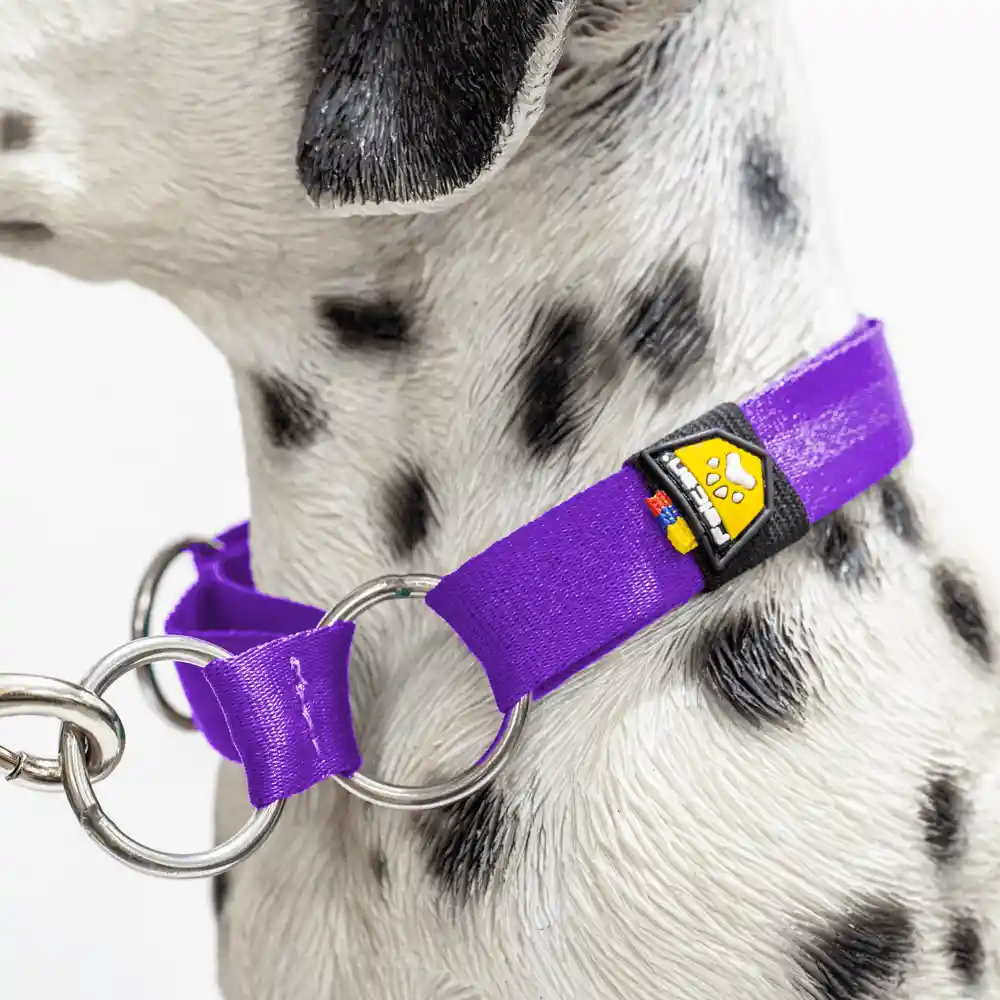 Felcan Collar Para Perro Control Morado Único