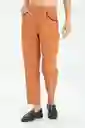 Pantalón Alickh Color Café Caramelo Talla 8 Ragged