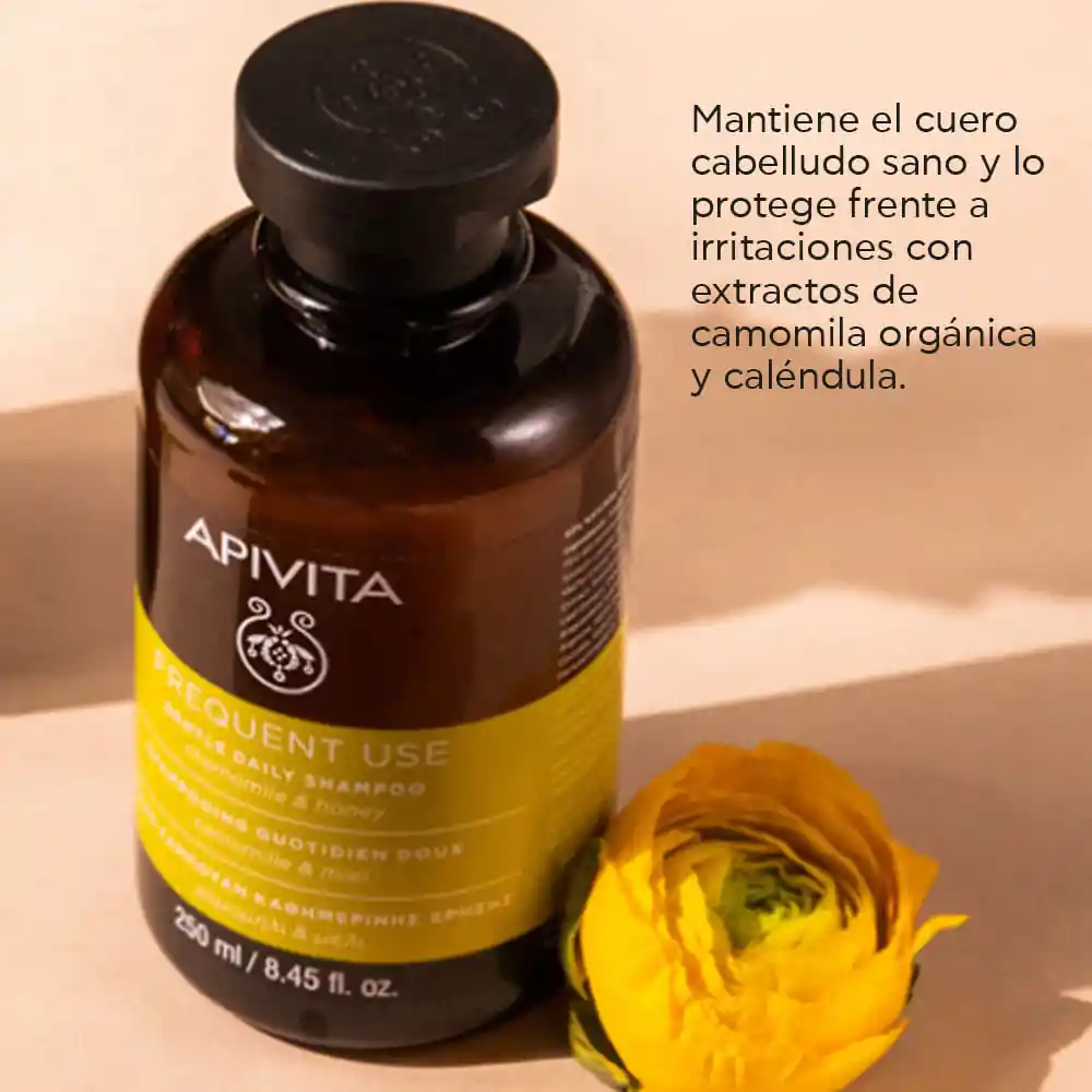 Apivita Shampoo Daily Care