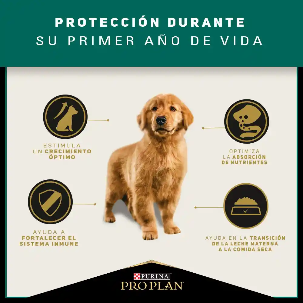 Pro Plan Alimento para Perro Cachorro de Razas Medianas