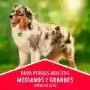 Comida para perro Dog Chow Adulto medianos y grandes x 2 kg