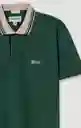 Camiseta Polo Hombre Verde Talla M 802G081_VER195918 Americanino