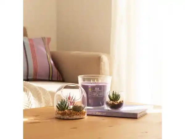 Maceta Cactus Vidrio Casaideas