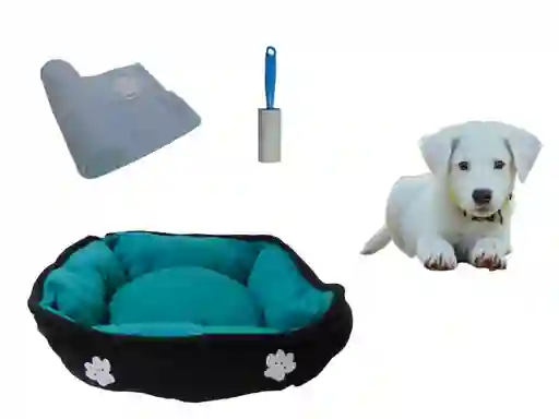 Hally Pets Set Cama + Cobija + Quitamotas Celeste OT0003