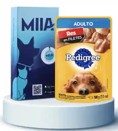 Combo Miia + Pedigree Sobre Adulto Res 100 g