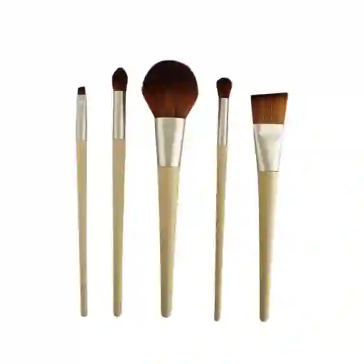 Wooden Makeup Brushes Kitx5 + Metallic