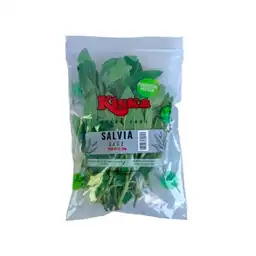 Kiska Salvia Fresca 