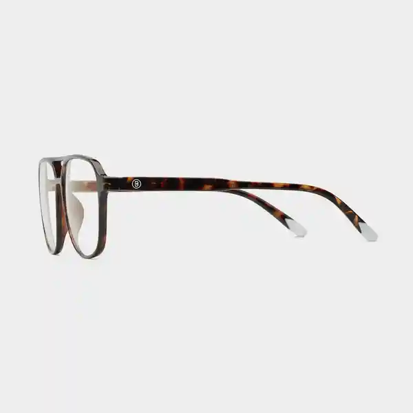 Barner Gafas Reading Brad Carey + 3.00