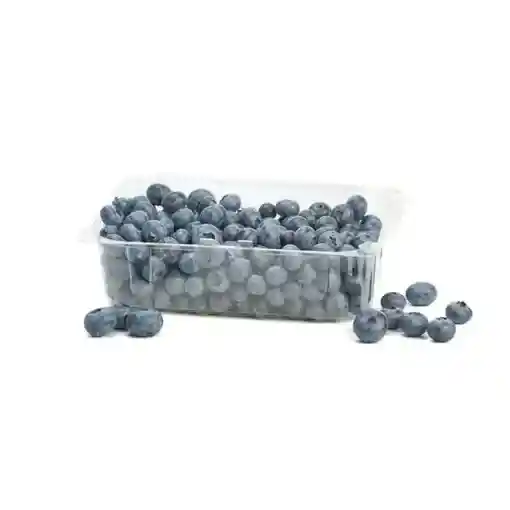 Arándanos - Fruttivos