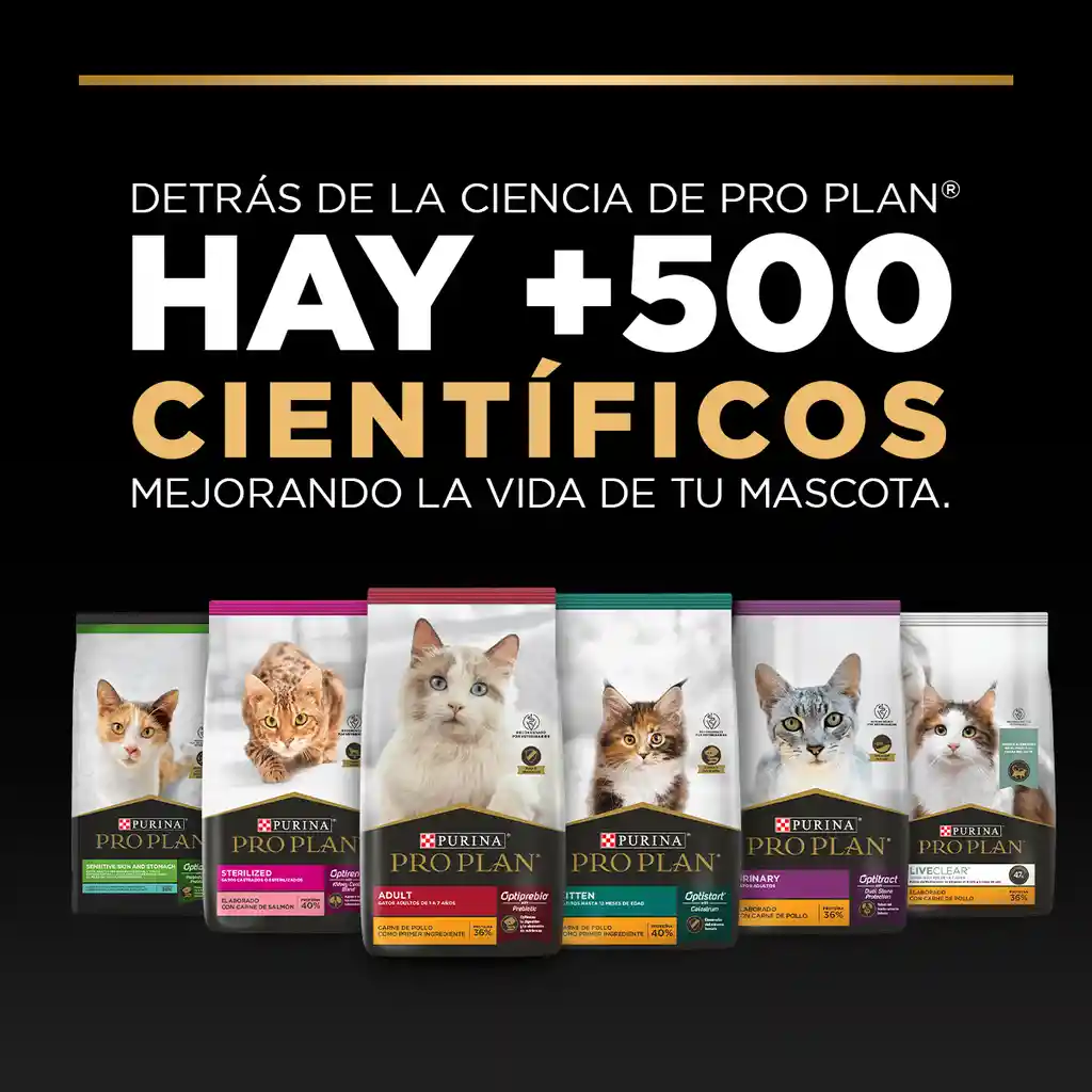 Comida para Gatitos Purina Pro Plan x 7,5 kg