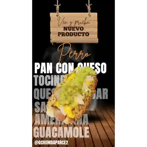 Perro