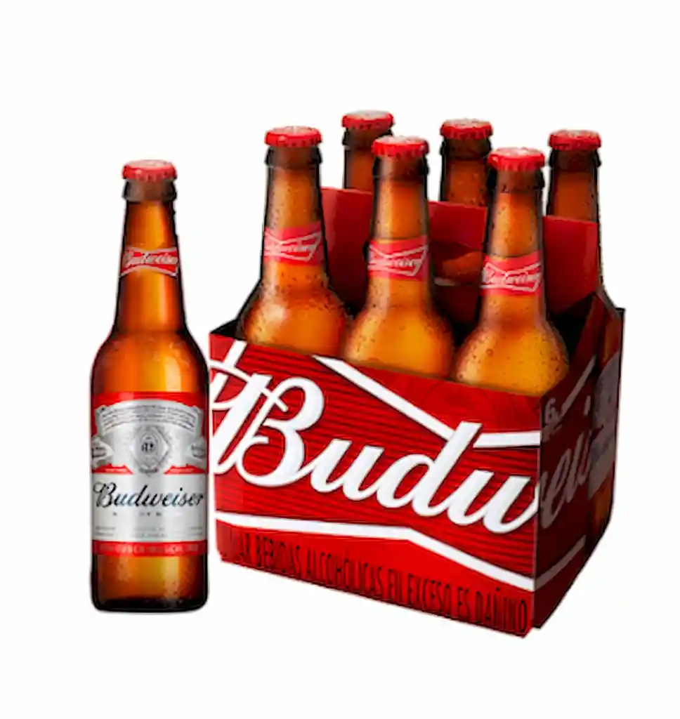Budweiser Cerveza Sixpack
