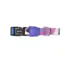 Zeedog Collar Para Perro Midnight Talla XS