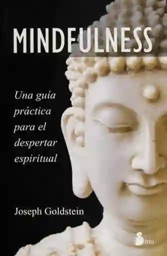 Mindfulness - Joseph Goldstein