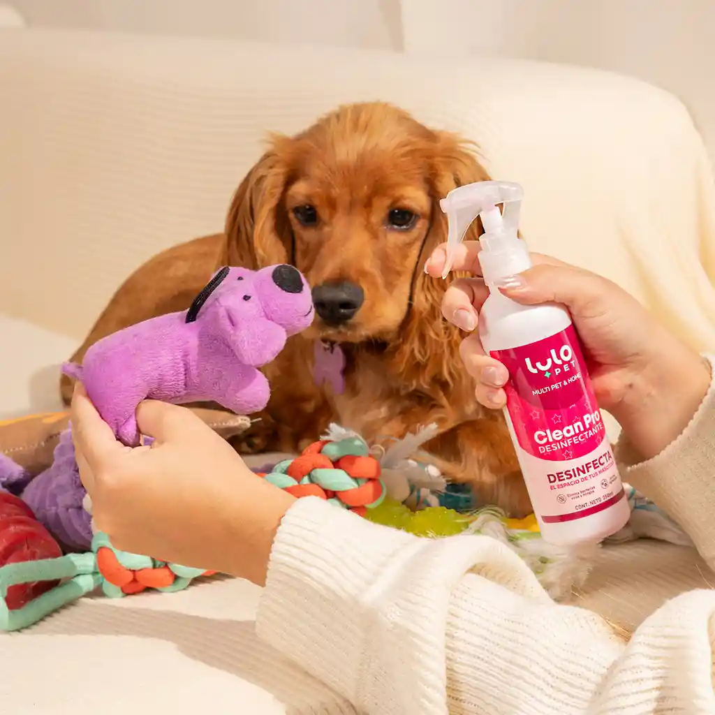 LuloPet Clean Pro Desinfectante Espacios con Mascotas - 250 ml