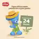 Cereal infantil NESTUM CERELAC x 360g