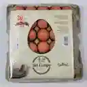 Del Campo Huevo Extra AAA