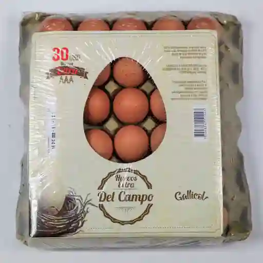 Del Campo Huevo Extra AAA