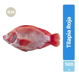 Tilapia Roja