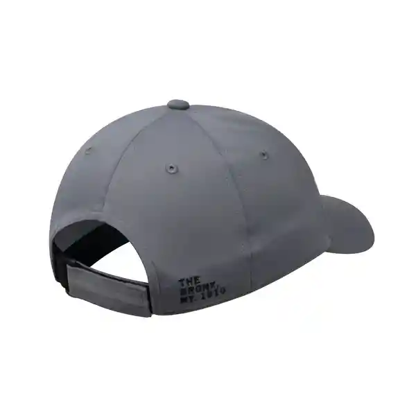 Gorra Reflex II Gris Everlast