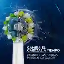 Oral-B Cepillo de Dientes Eléctrico Pro Series 1 Con Cabezal Redondo 