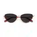 Polaroid Gafas Vinotinto Mujer Ta Pld6148sx 0lhf 55/18 145 M9