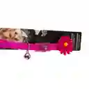 Coastal Pet Collar Para Gato Adornos Fucsia