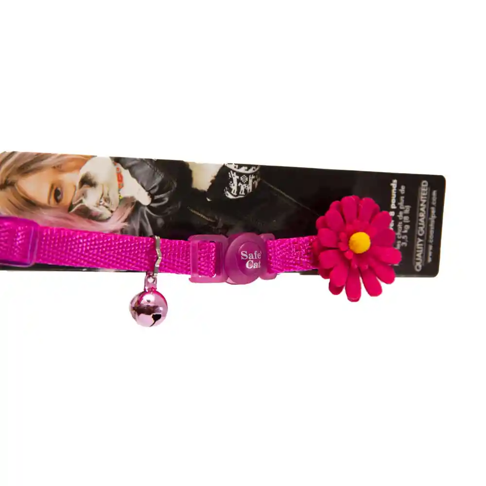 Coastal Pet Collar Para Gato Adornos Fucsia