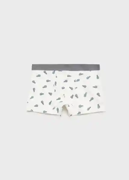 Pack Calzoncillo Dino Gris Medio Vigore Talla 11 Niño Mango