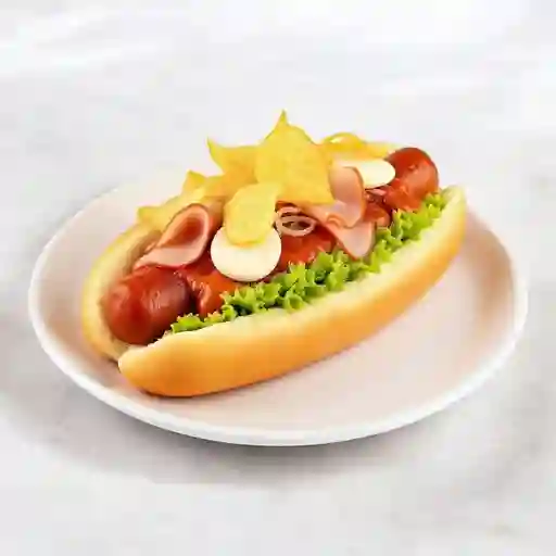 Perro especial de la casa