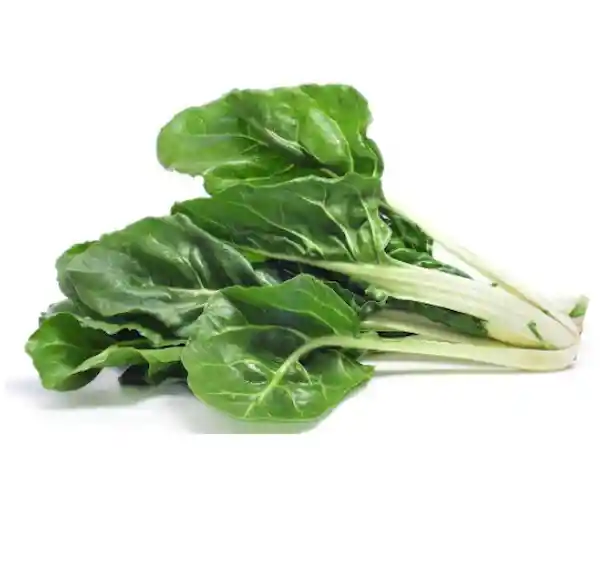 Acelga