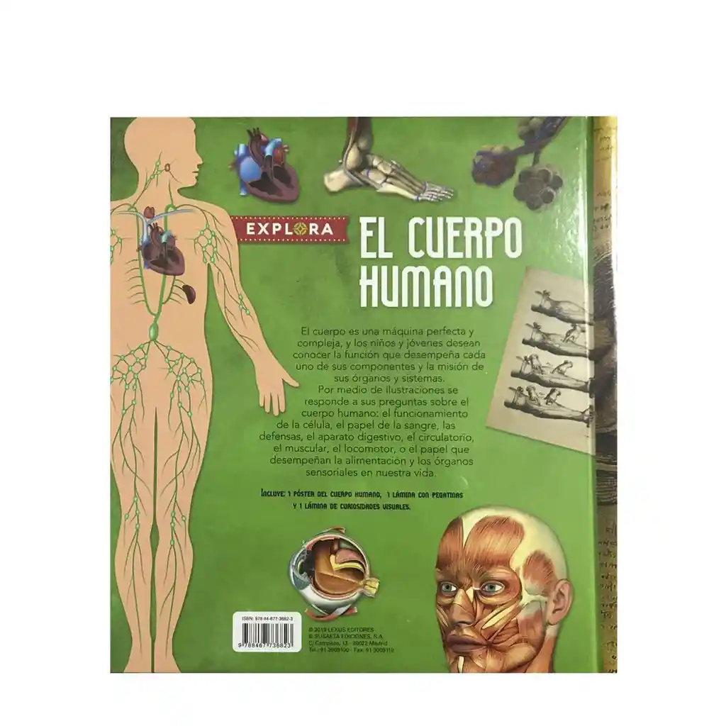 El Cuerpo Humano - Equipo Editorial