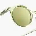 Izipizi Gafas Sun D Verde Dynamic + 0.0