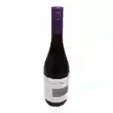 Cono Sur Vino Pinot Noir