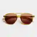 Barner Gafas Sun Brad Olv