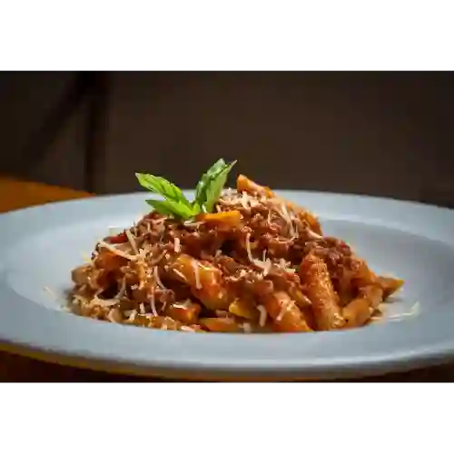 Bolognesa