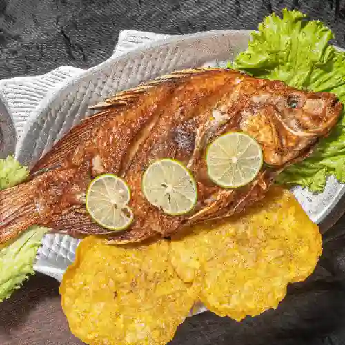 Mojarra Frita