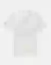 Polo Hombre Verde Talla Large 4570337 American Eagle