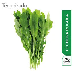 Lechuga Rugula Turbo