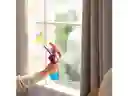 Limpia Vidrio + Rociador Casaideas