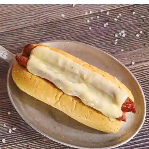 Perro Suizo