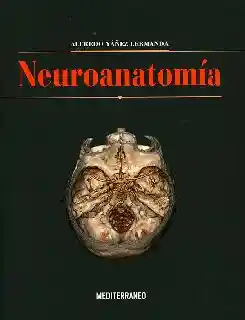 Neuroanatomía