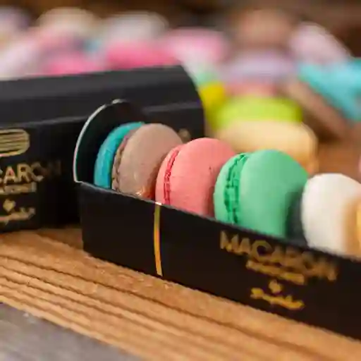 Macaron - caja anatomie