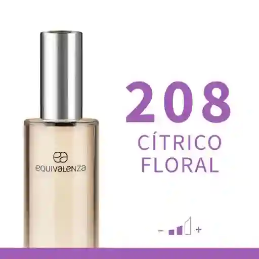 Equivalenza Perfume Cítrico Floral 208