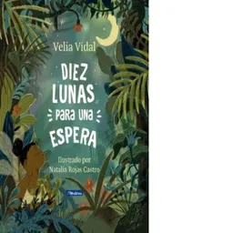 Diez Lunas Para Una Espera Vidal Romero Velia